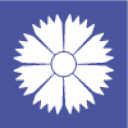  ავიაკომპანია Belavia